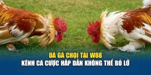 Đá Gà Chọi Tại W88 – Kênh Cá Cược Hấp Dẫn Không Thể Bỏ Lỡ